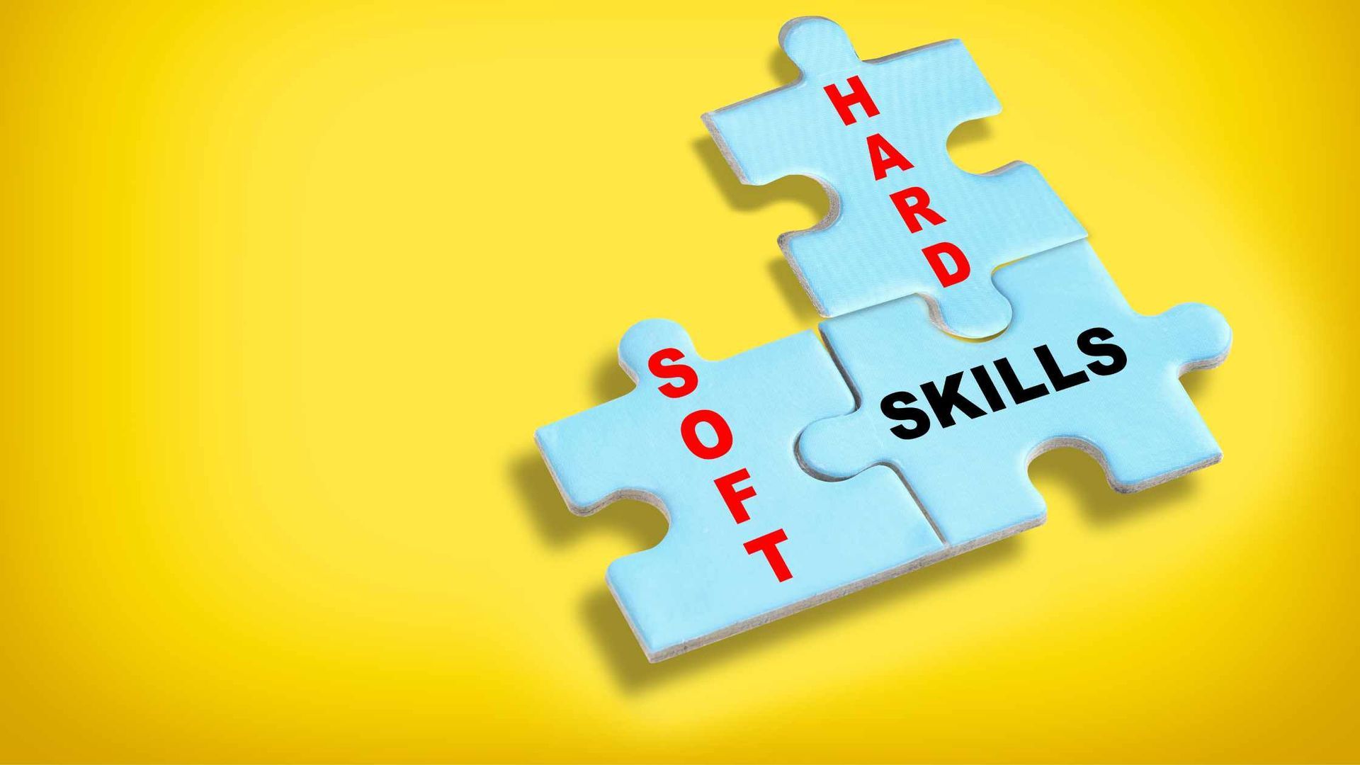 The Importance of Hard and Soft Skills in Your Job Search