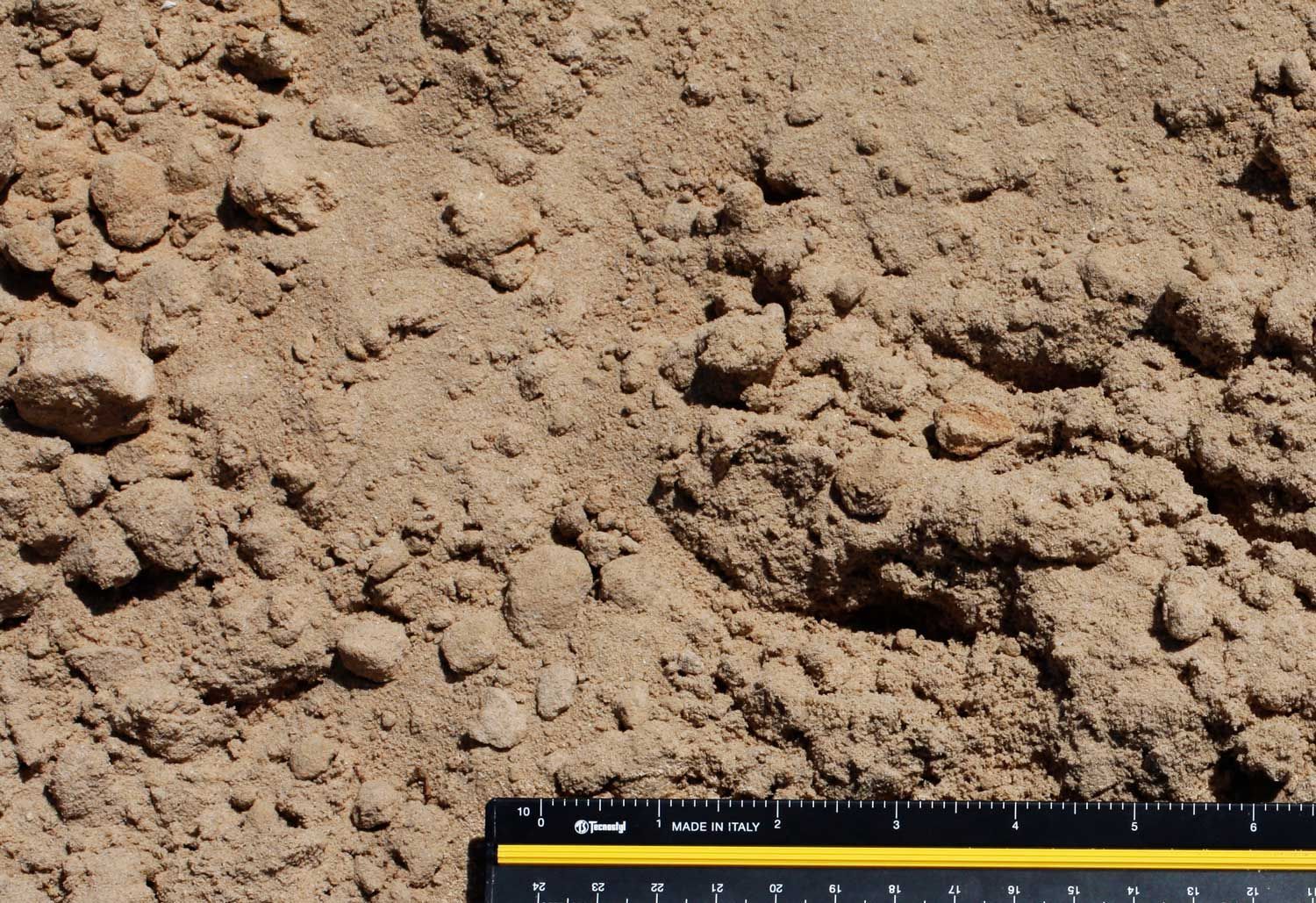 A ruler is laying on top of a pile of dirt