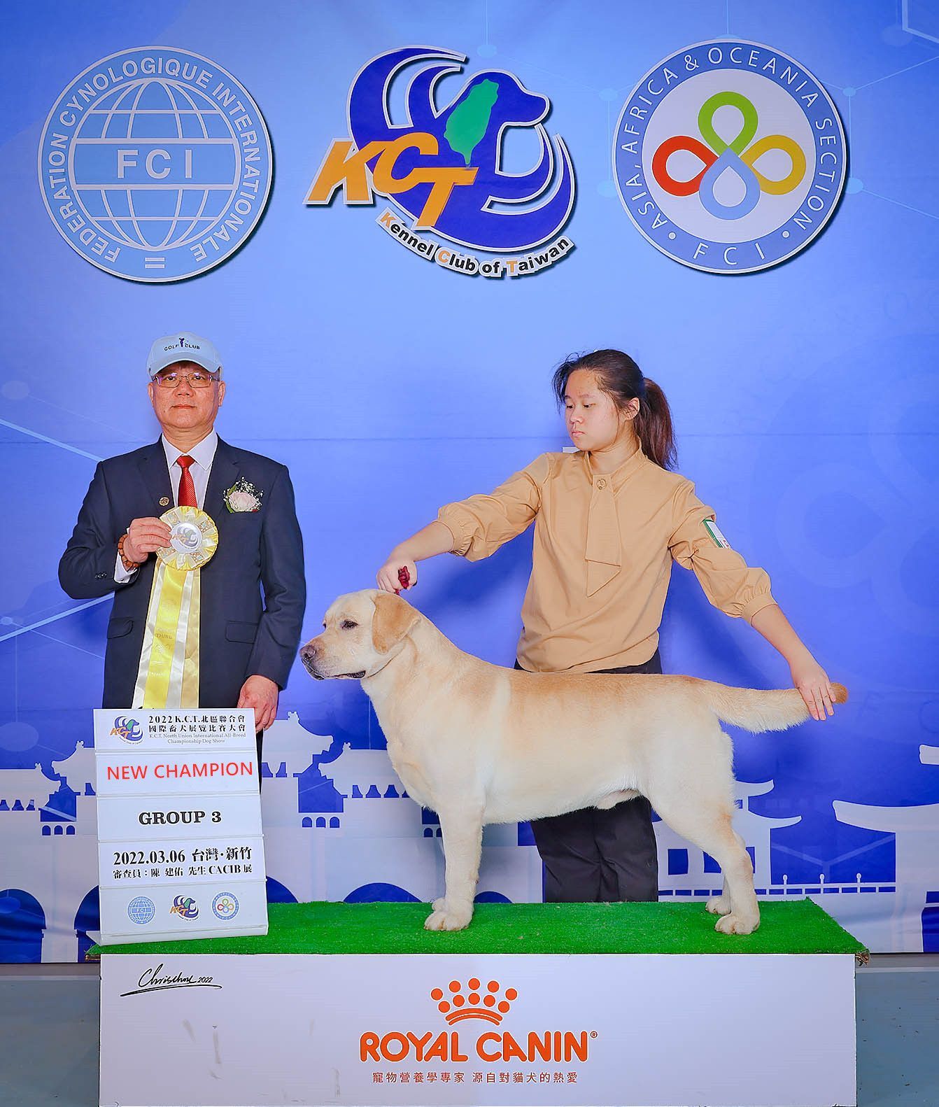 上首尾拉不拉多犬 Shaking 照片