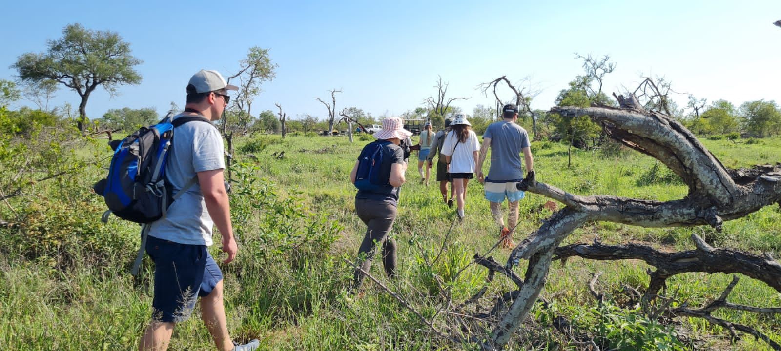 Hikers with backpacks walking along a grassy trail under a clear blue sky
