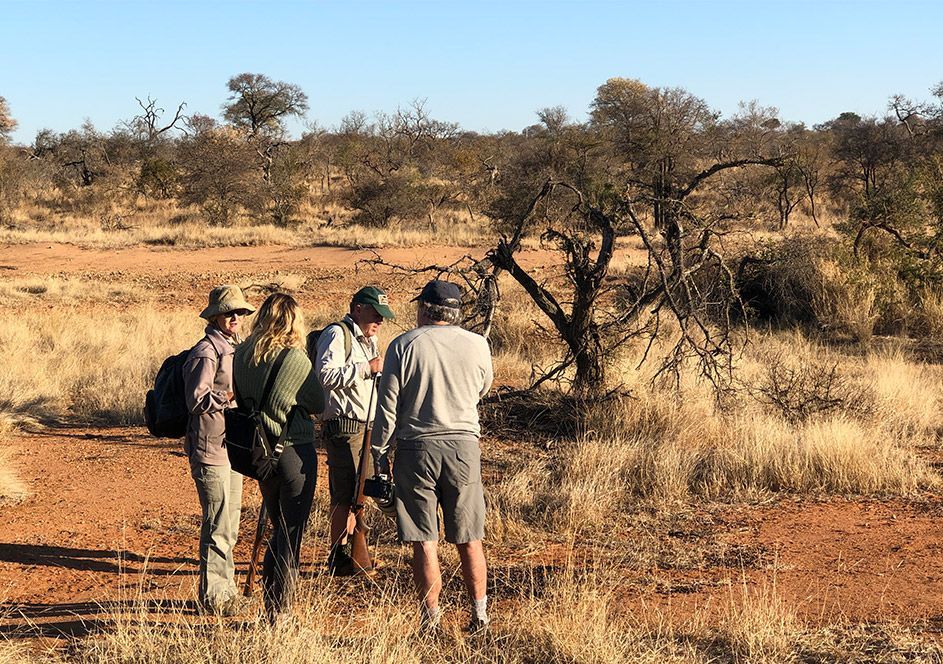 Group of people in safari attire examine the arid landscape with trees.