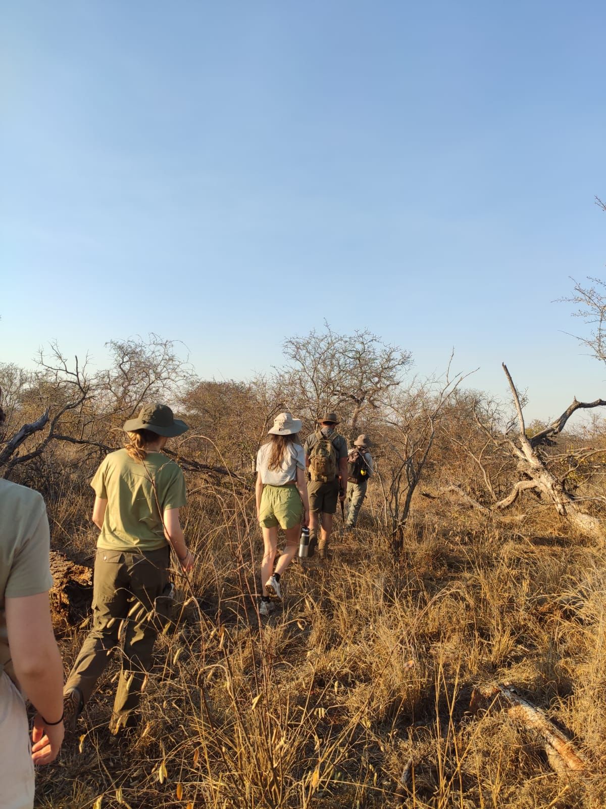 A group of people walking in dry brush under a clear sky.