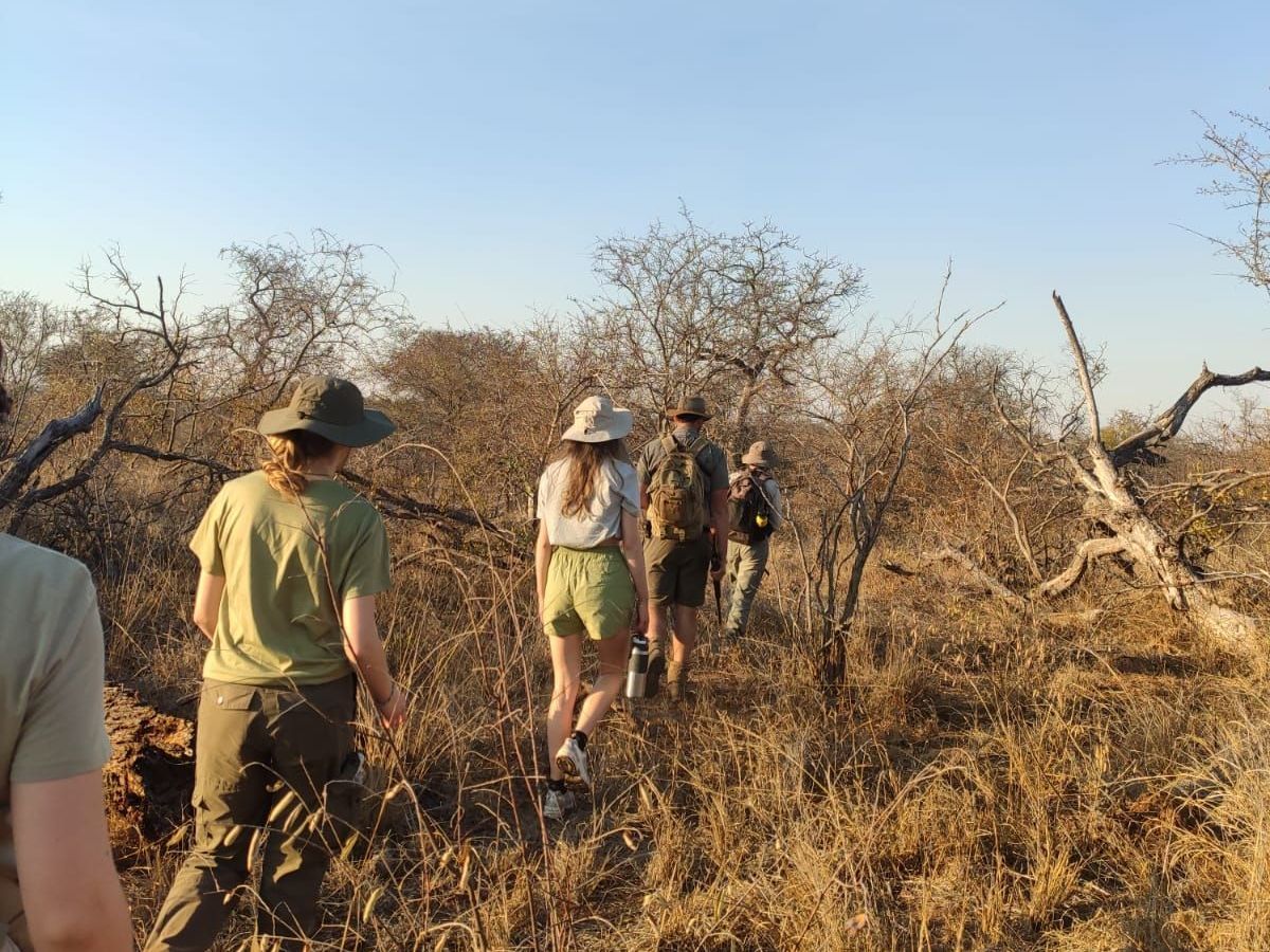 People hiking in dry, brushy savanna under a blue sky.