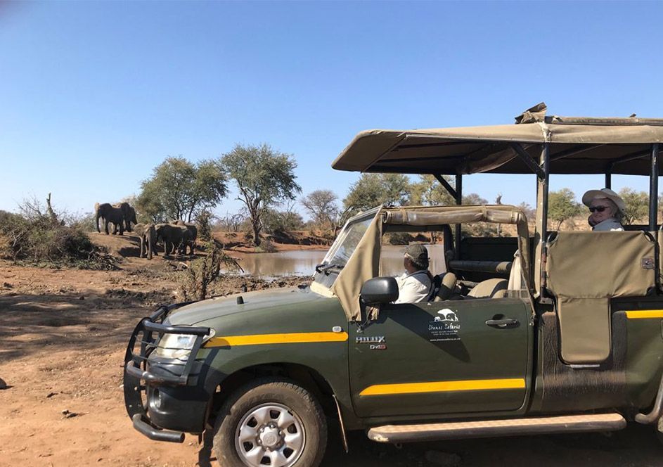 Full-Day Kruger Safari