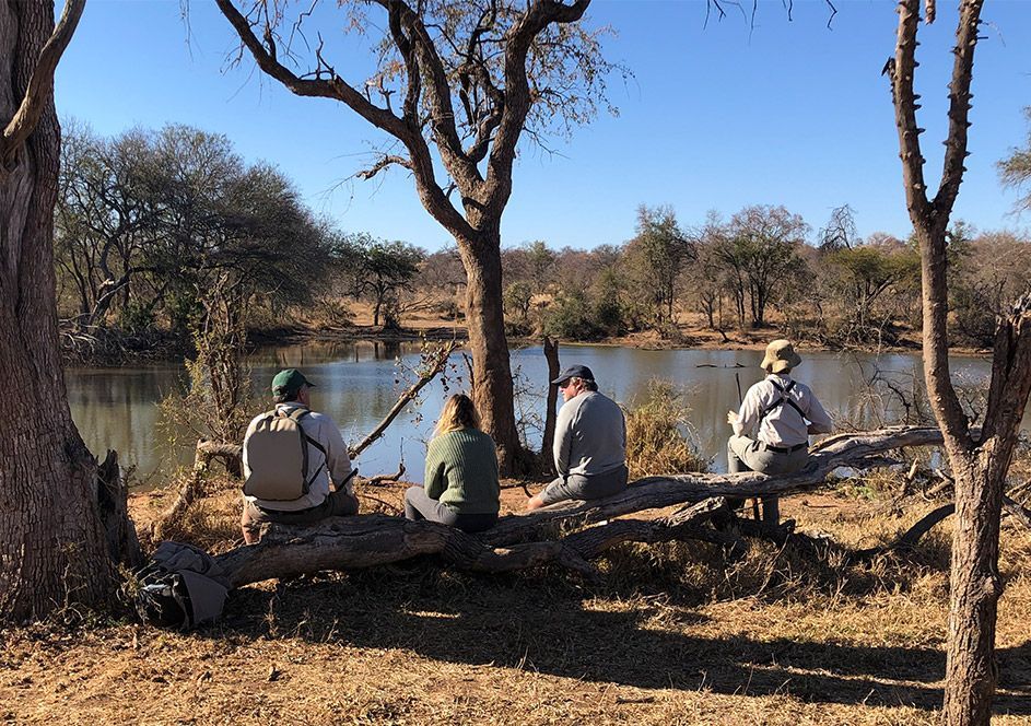 Four people with backpacks sit on a fallen tree by a calm river in a sunny, dry woodland landscape.