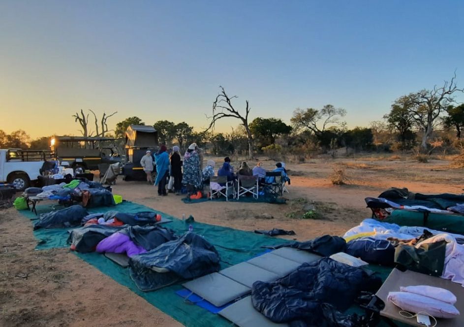 Sleep Under the Stars with Stones Safaris – A Wild Safari Experience