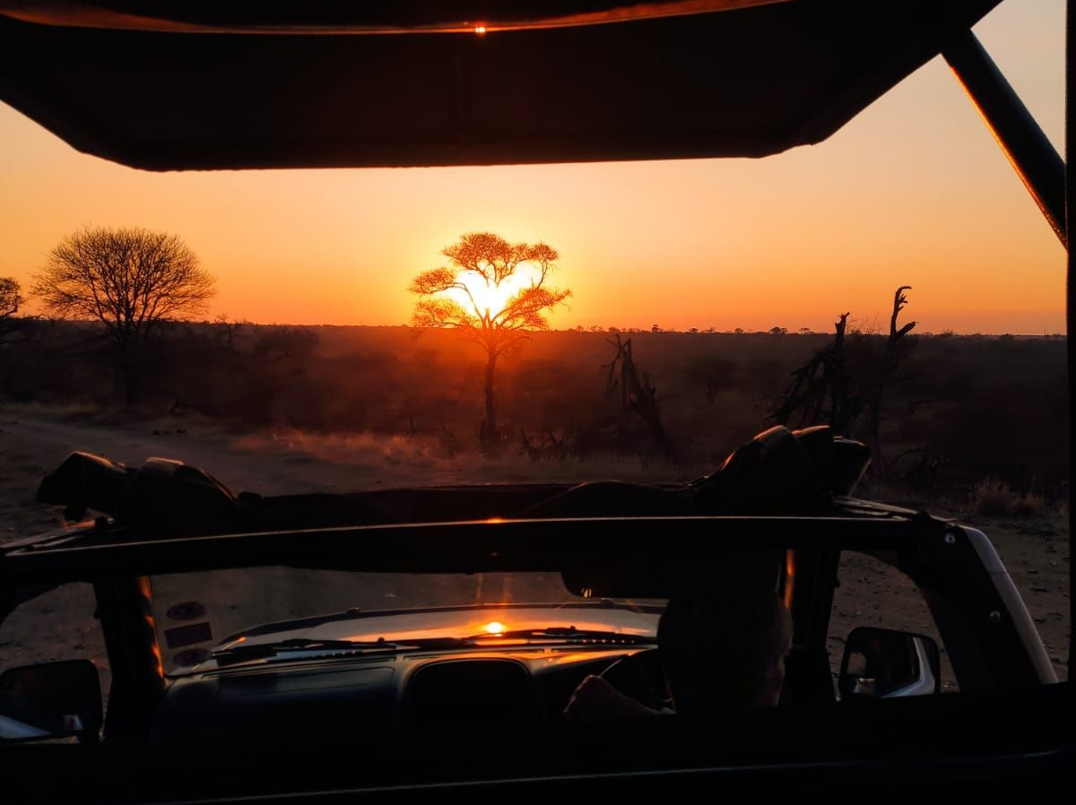 Sunrise viewed from a safari vehicle over an open savanna, with silhouetted trees and warm orange sky