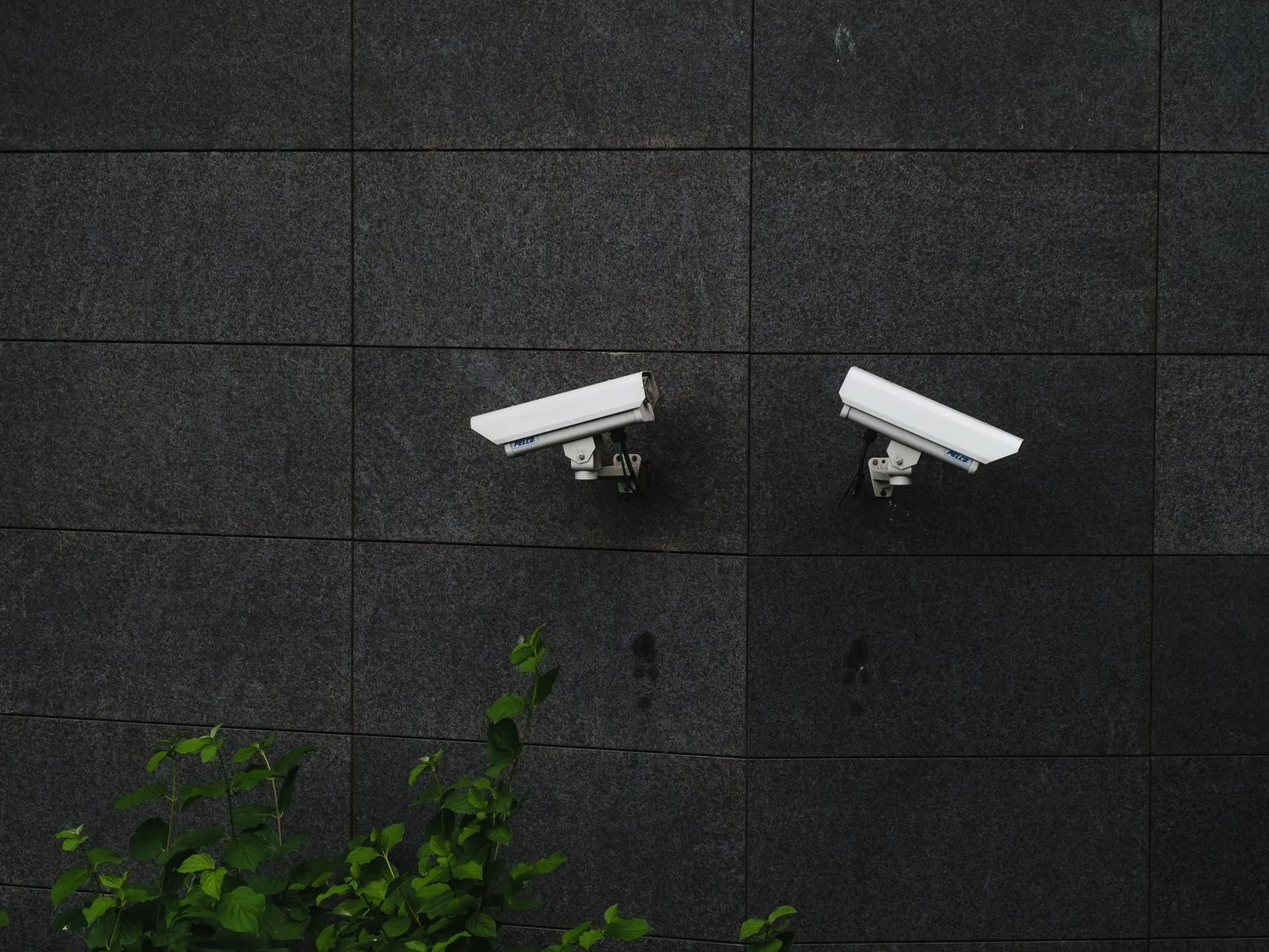 Two security cameras are mounted on a black brick wall.