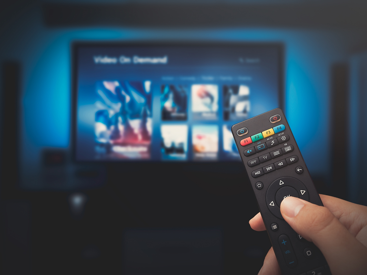 A person is holding a remote control in front of a television.