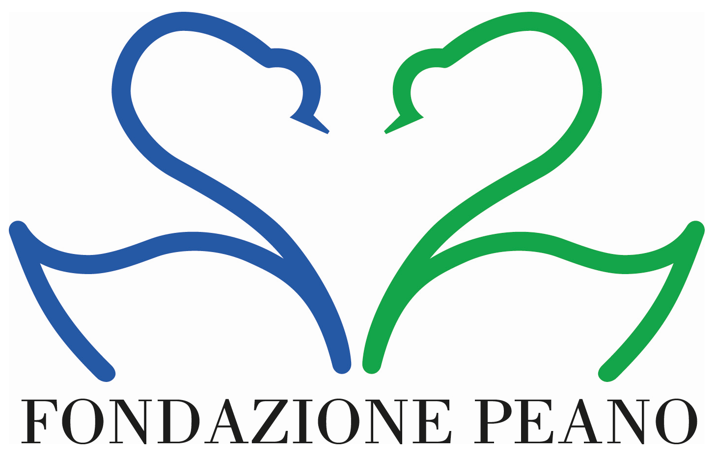 fondazione peano cuneo fondazione peano cuneo