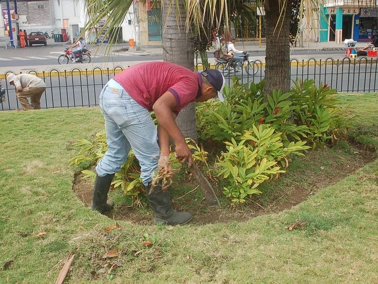 Operatore durante manutenzione giardino a Roma.