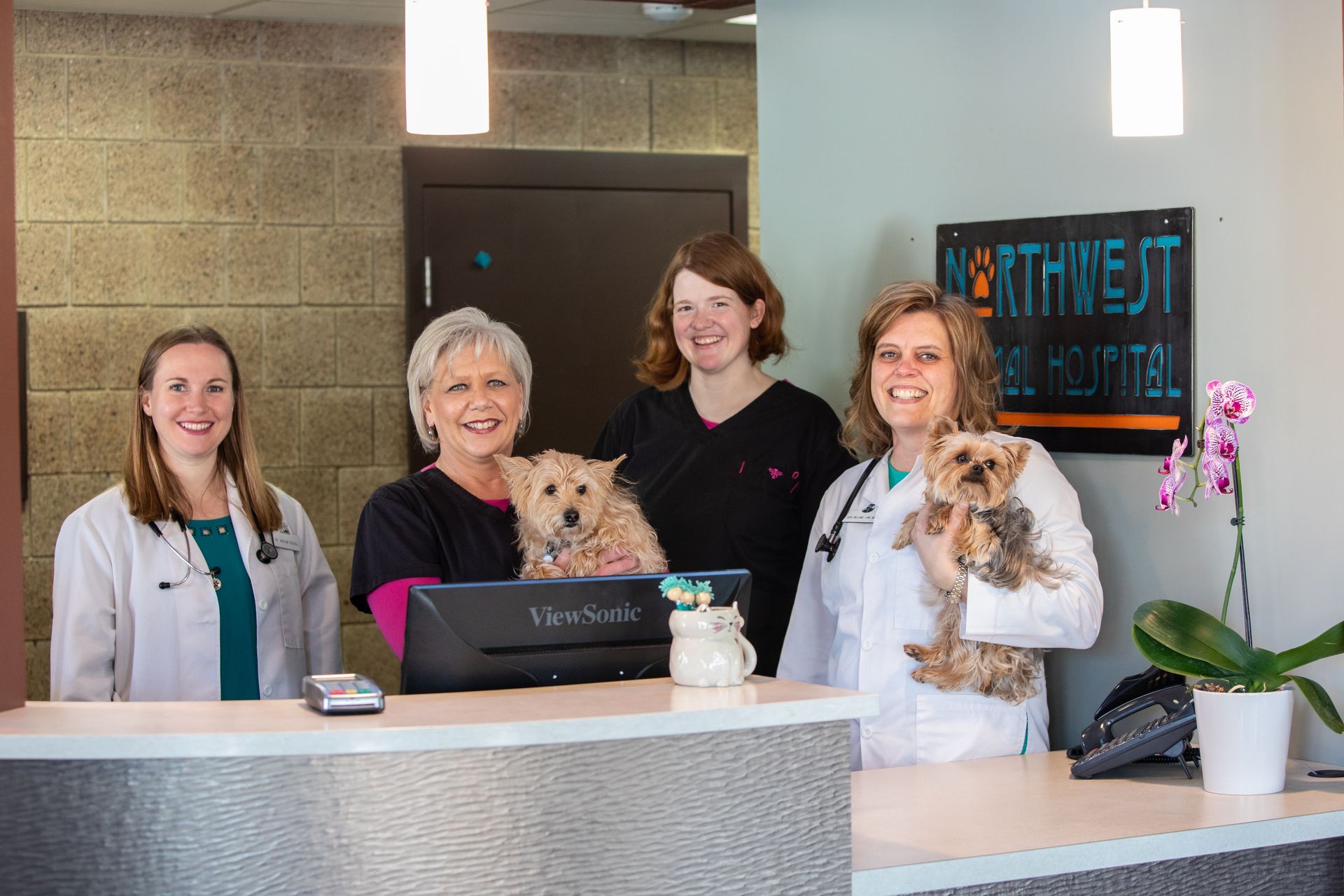 Four staff members behind a reception desk, smiling in a modern lobby with a dog and orchid plant.