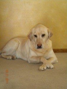 Rosco