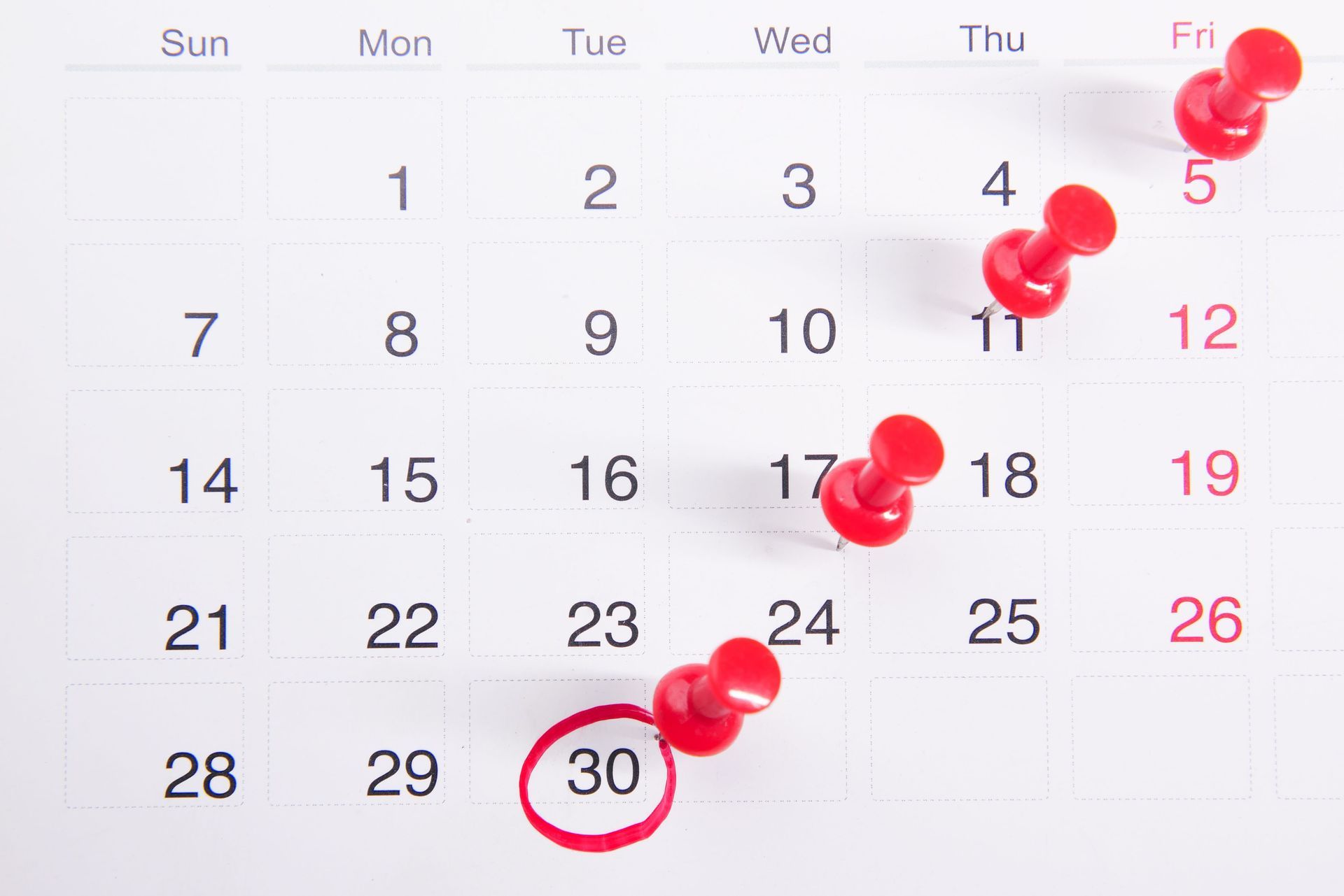 Mid Year Check In Realtor Calendar