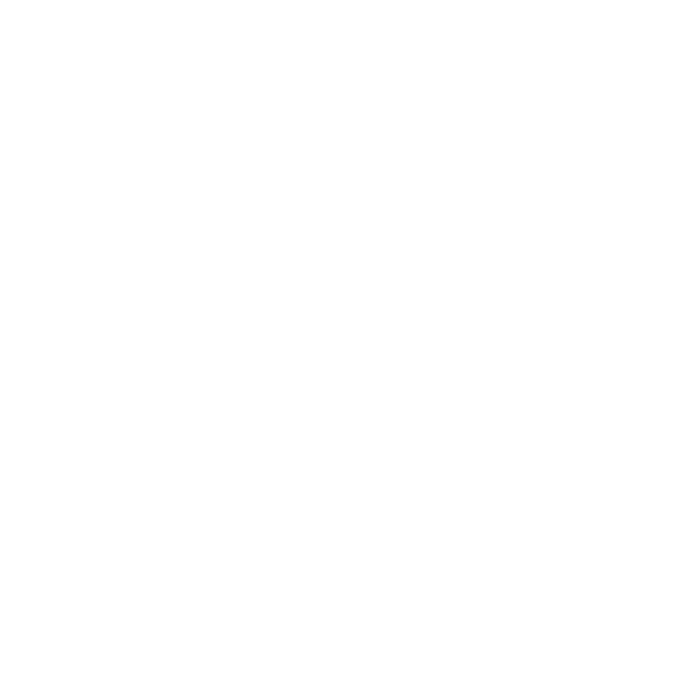 The Eissa Group Logo The Eissa Group Logo