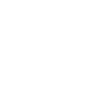 The Eissa Group Logo The Eissa Group Logo