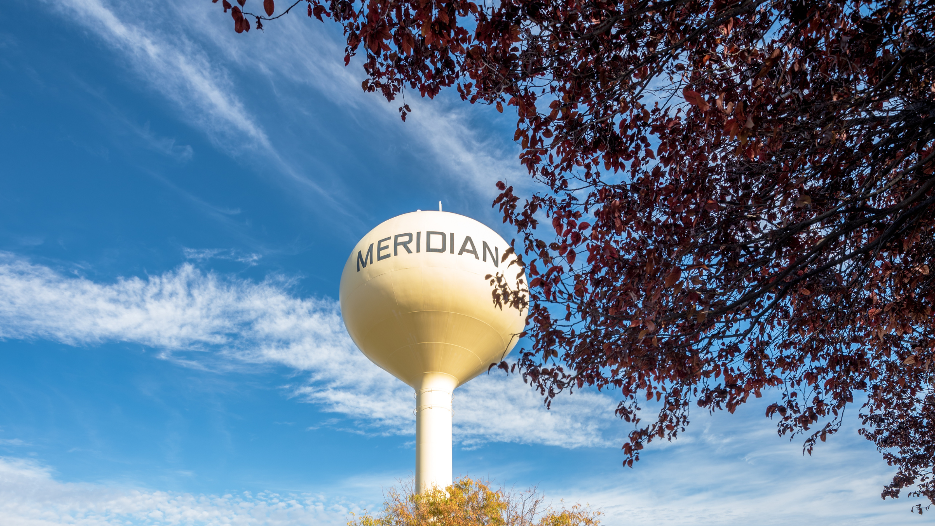 Meridian