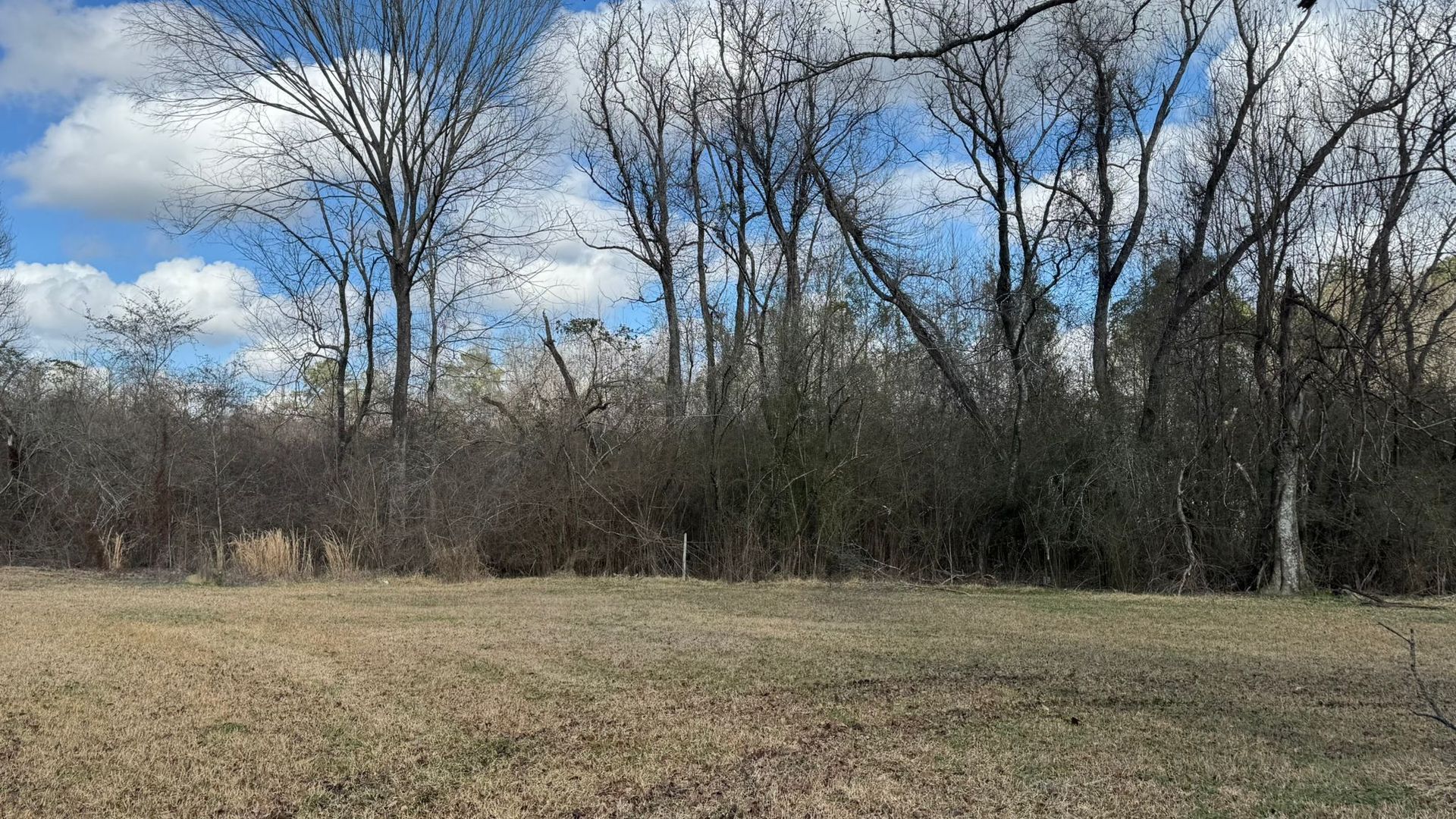 Field with dry grass, trees in background, blue sky with white clouds.