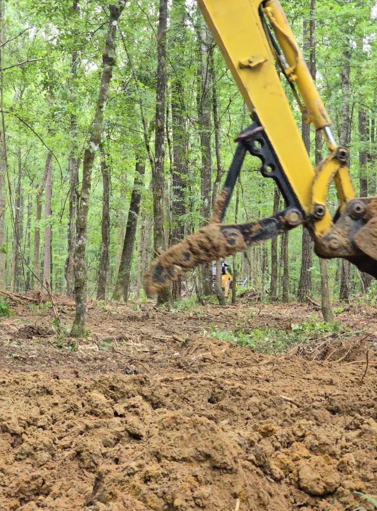 A yellow excavator digging in a muddy forest, with trees in the background.