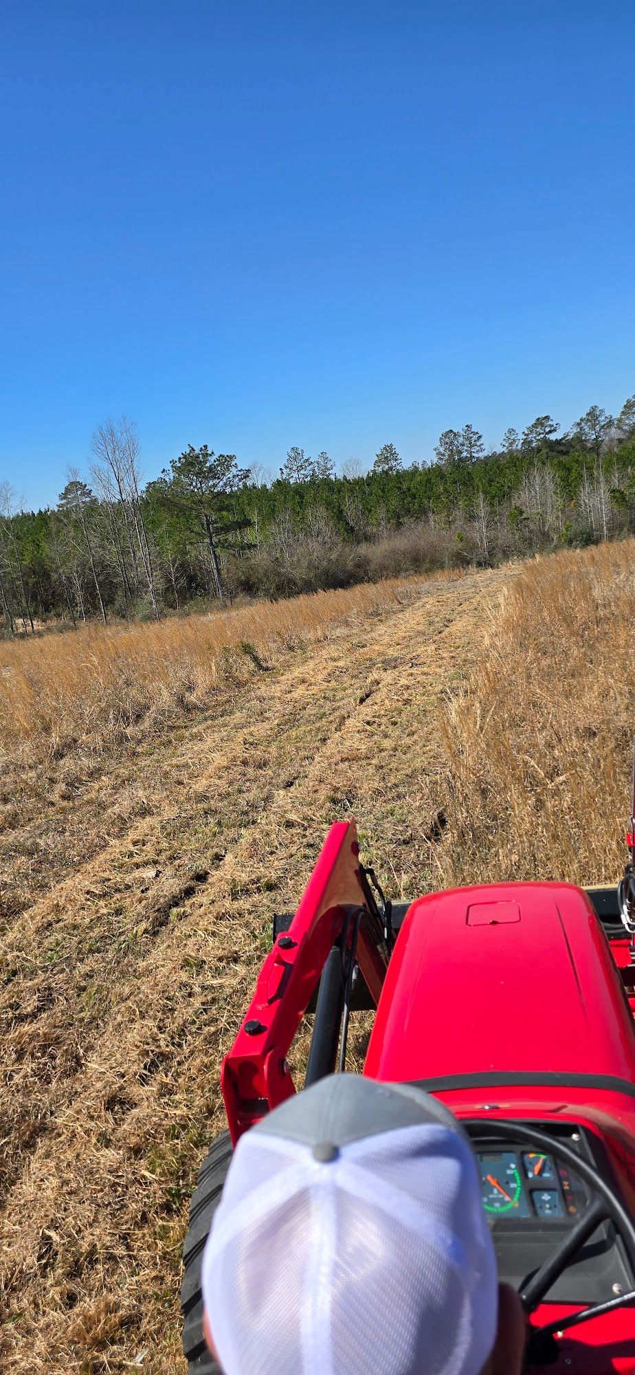 Person operating a red tractor in a field, clearing a path through dry grass. Blue sky and treeline in the background.
