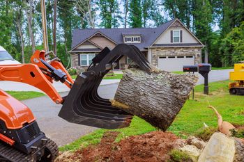 Orange excavator lifting a large tree trunk in front of a house.