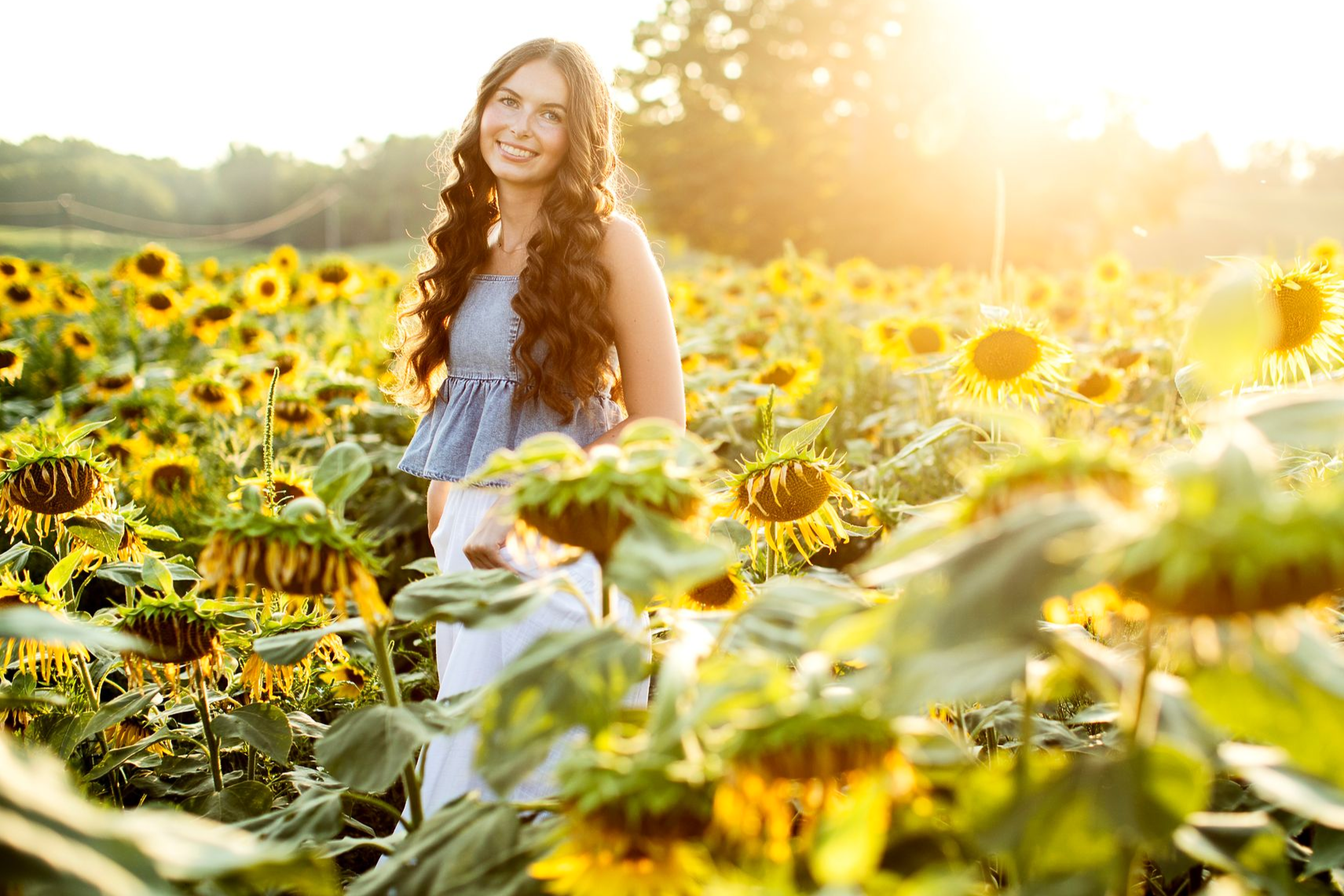 High school senior girl in sparta, michigan in field of sunflowers.