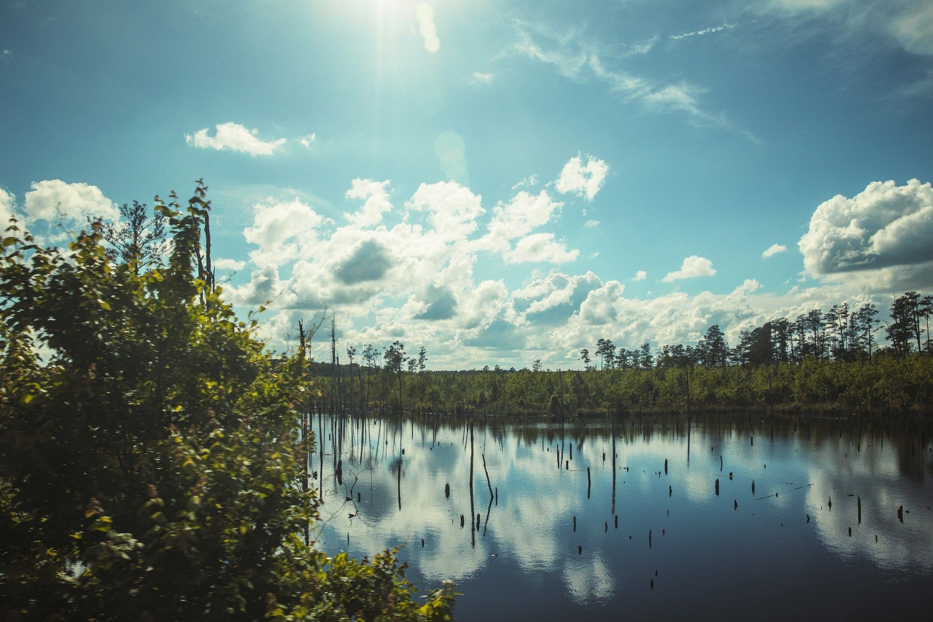 A lake surrounded by trees and bushes on a sunny day with clouds reflected in the water.