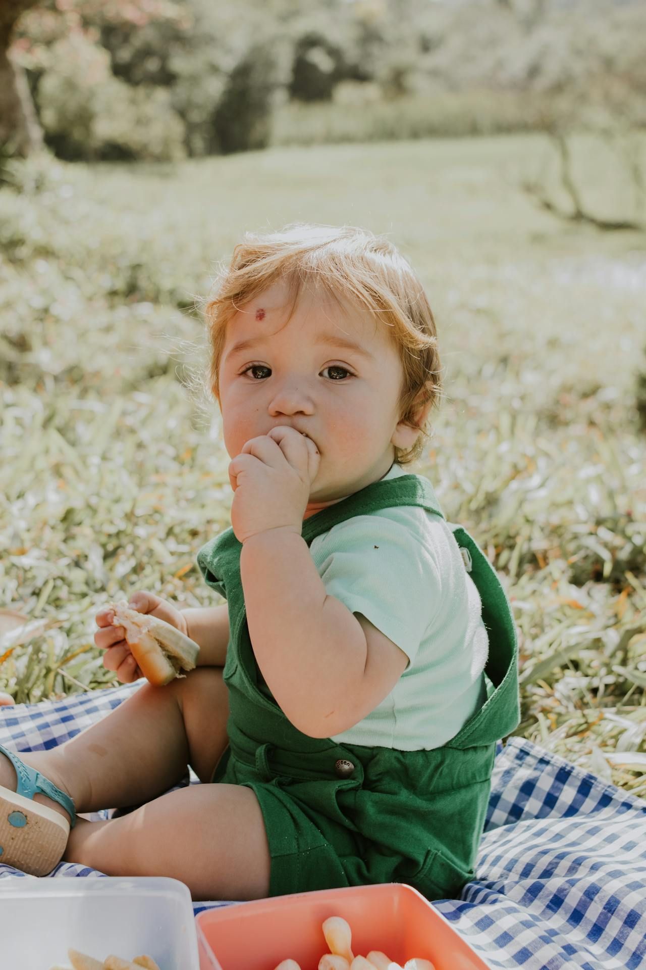 A baby is sitting on a blanket eating a sandwich.