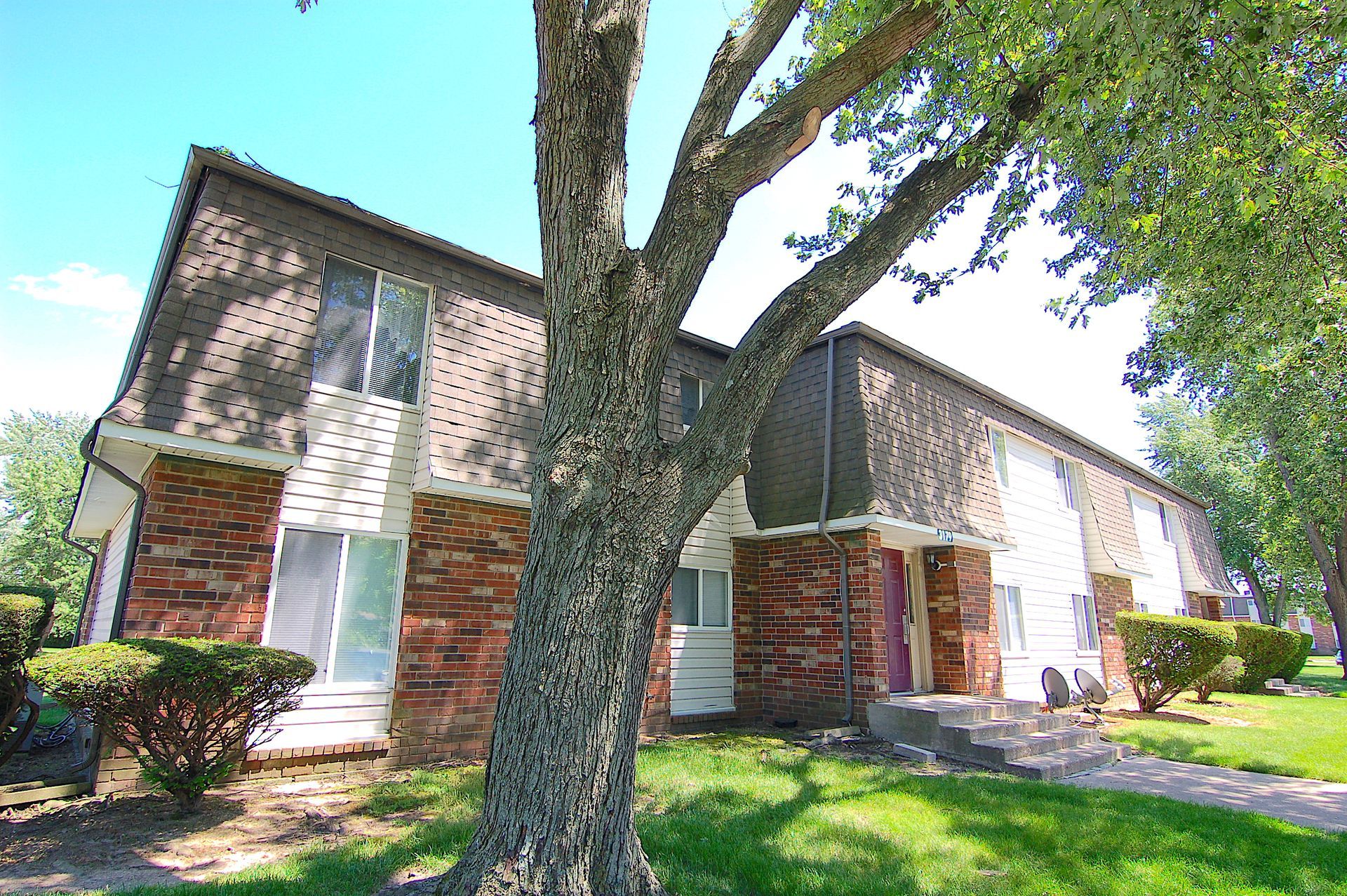 Apartment building with brick and white siding, a large tree in front, and a grassy lawn