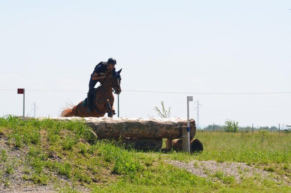 salto a ostacoli con il cavallo