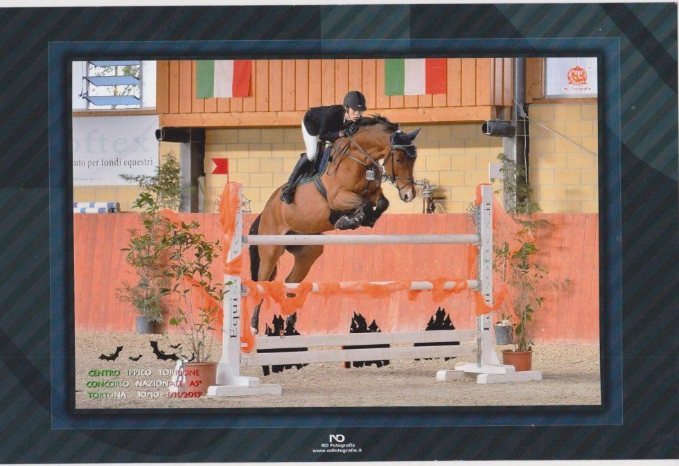 salto a ostacoli con cavallo