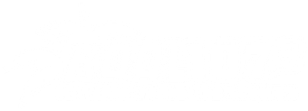 Blank white rectangle with a thin black border along the bottom edge