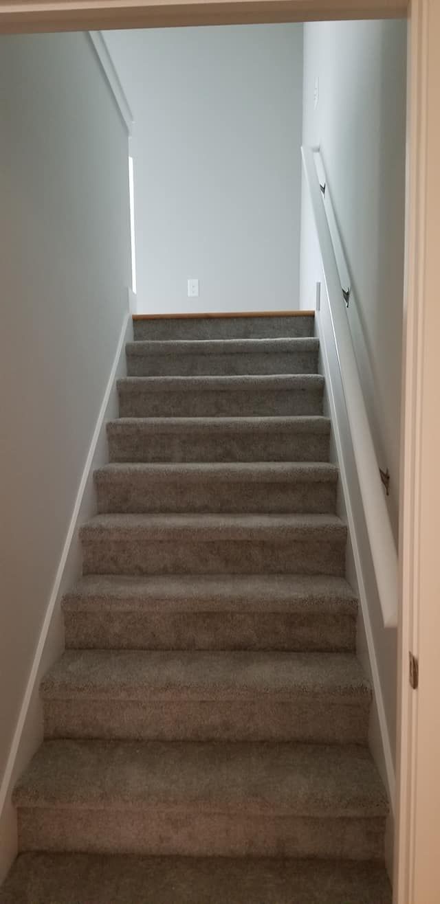 A straight carpeted staircase with light grey walls and a white handrail leading to an upper floor.