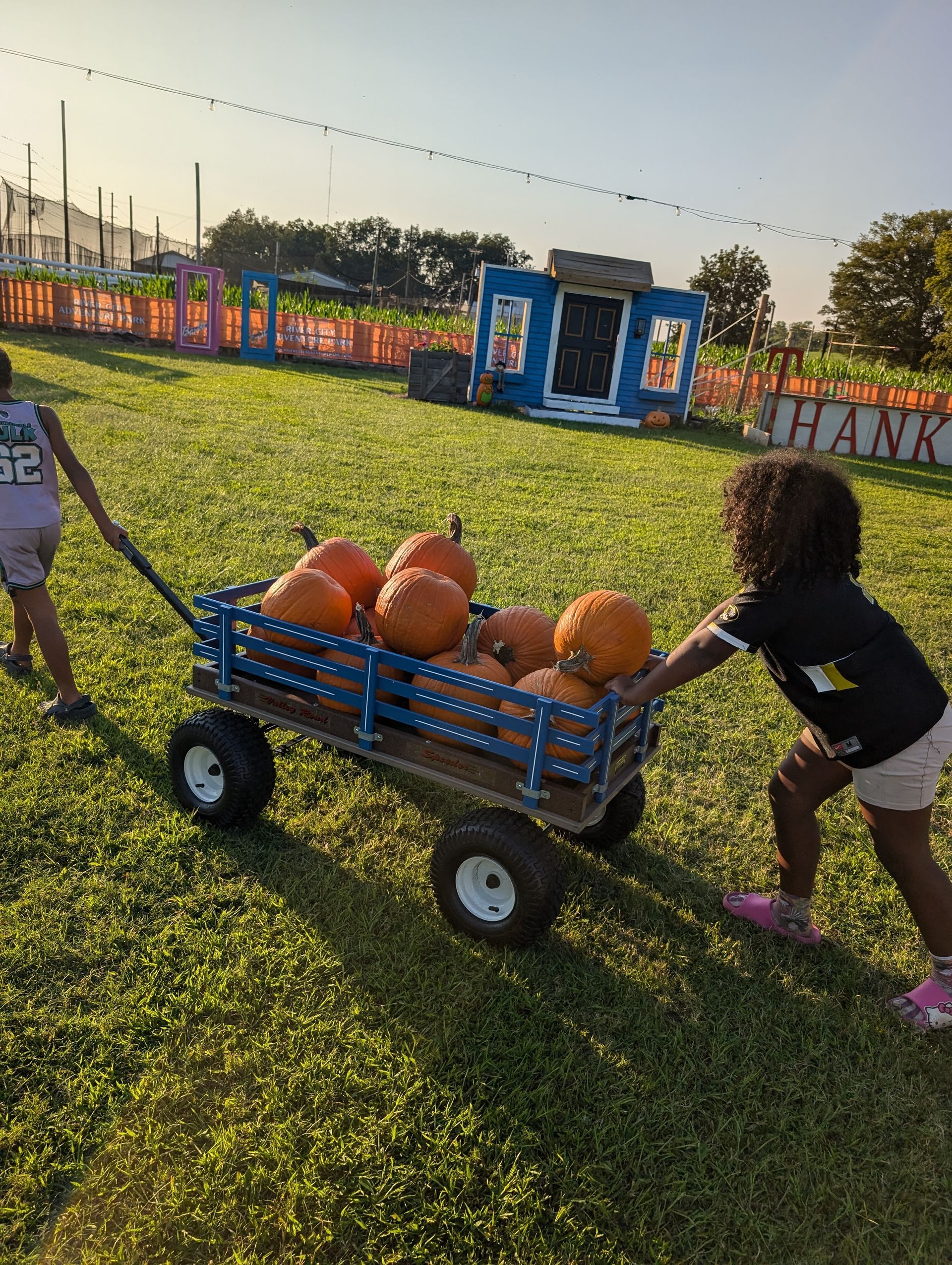 A little girl is standing next to a tire in a pumpkin patch.