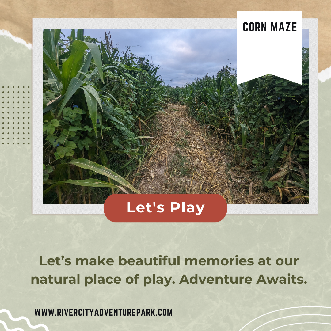 A picture of a corn maze that says let 's play