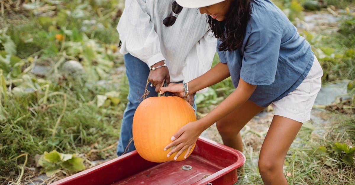 A woman is pushing a pumpkin into a wagon.