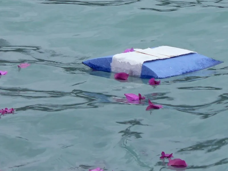 Small blue-and-white floating object on gray water with pink petals nearby