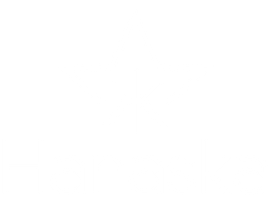 A blue and white logo for reano & linares asesores financieros