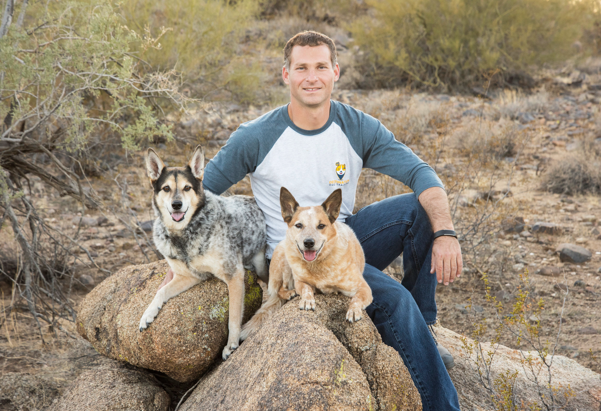 Andrew Steinkohl - Owner & Training Director at Destination Dog Training