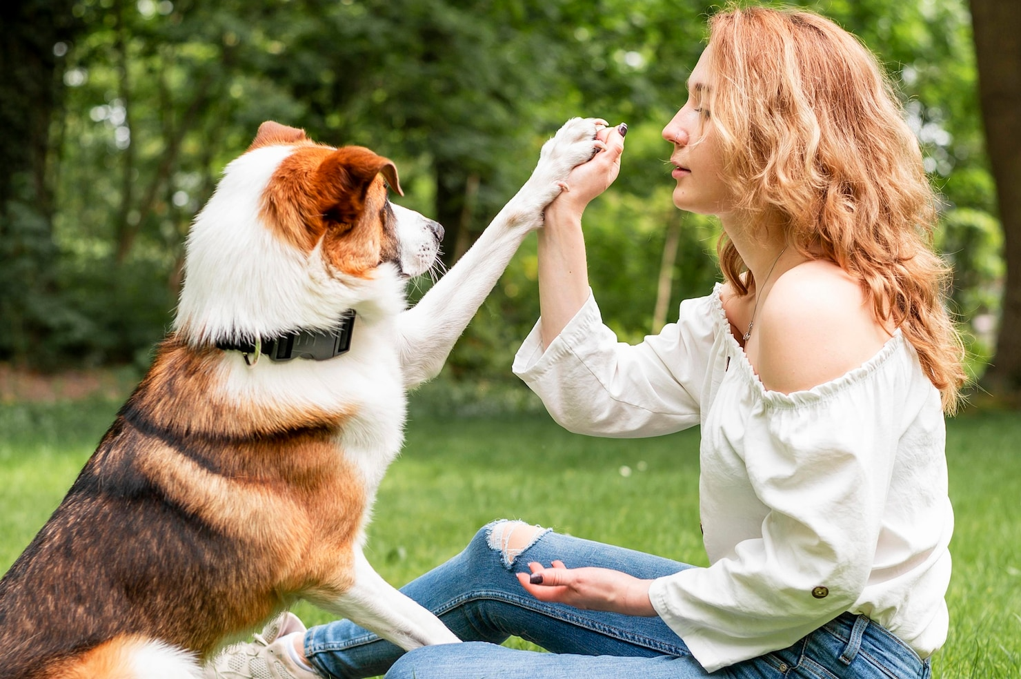 A woman is giving a dog a high five while sitting on the grass.