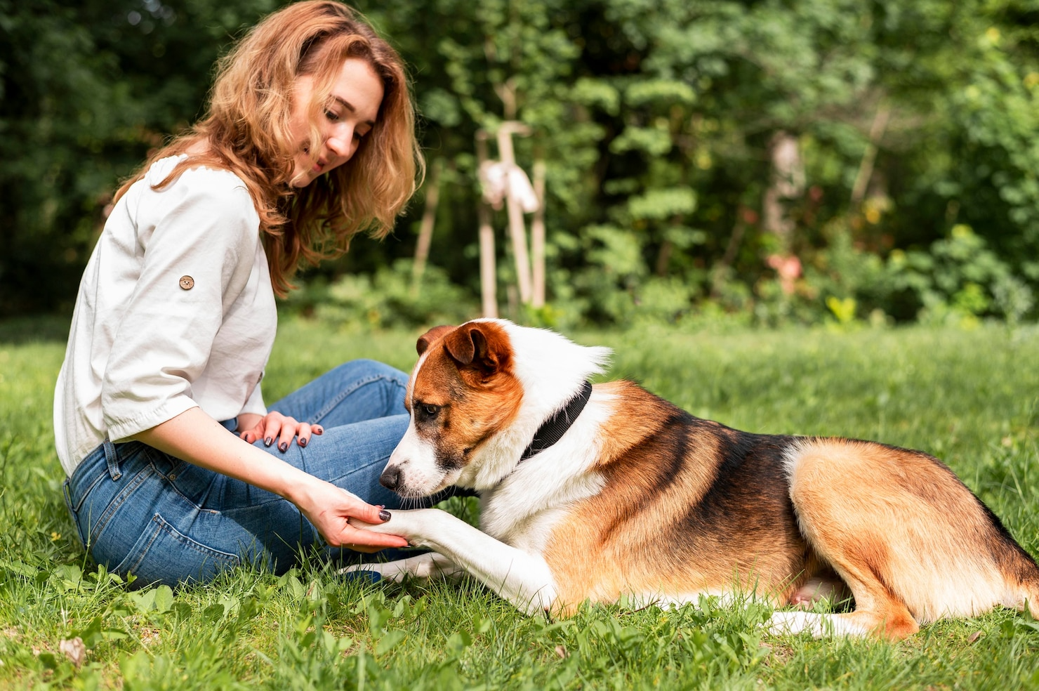 A woman is sitting on the grass petting a dog.