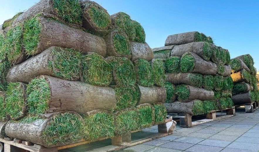 A bunch of rolls of grass are stacked on top of each other on pallets.