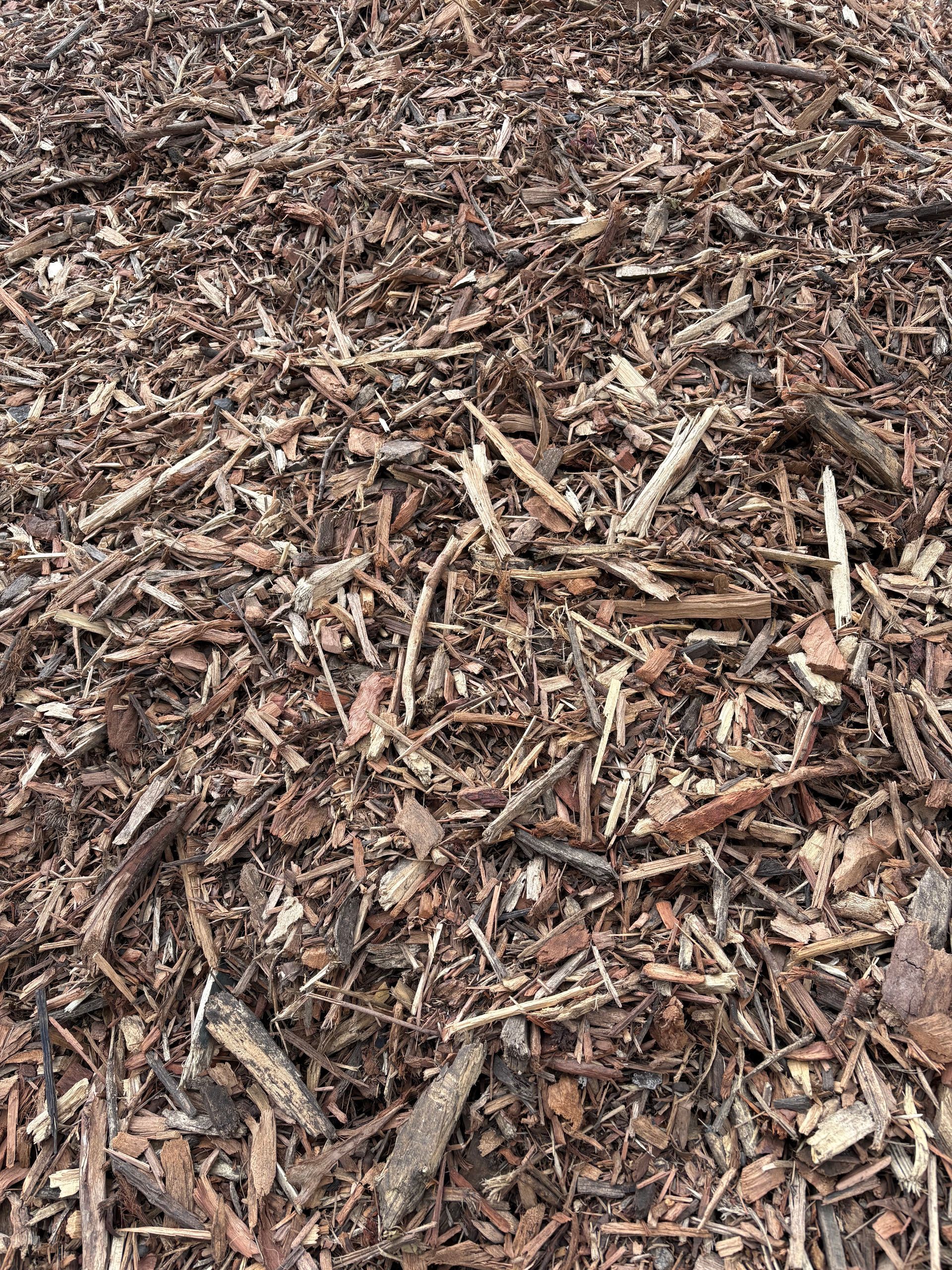 Brown wood chip mulch covering the ground, with small bark pieces and twigs scattered throughout