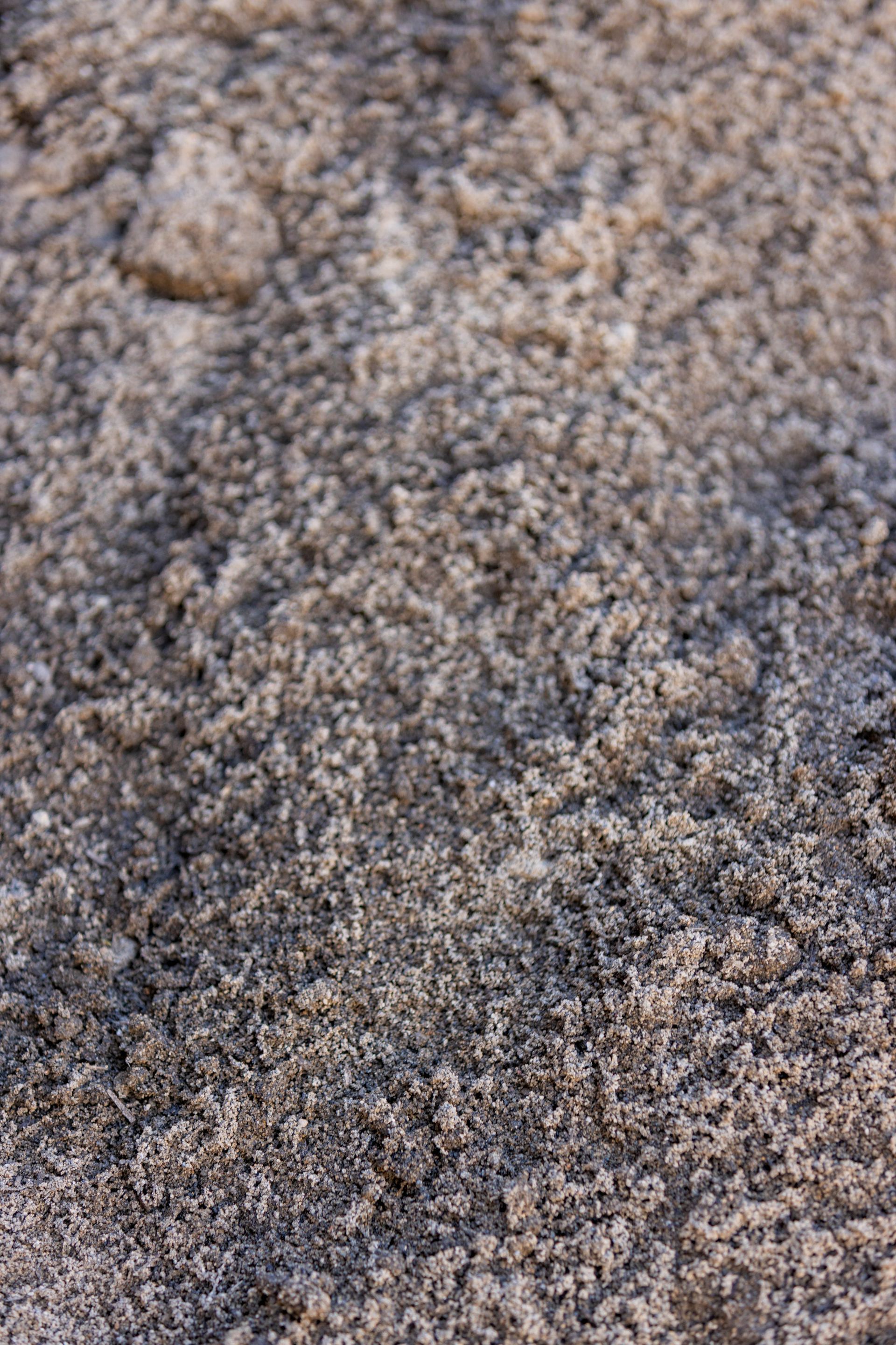 Close-up of rough, textured rock surface with speckled gray and tan tones.