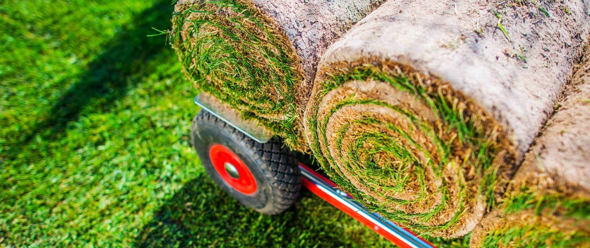 Rolls of freshly cut sod being transported on a red-wheeled cart across a green lawn.