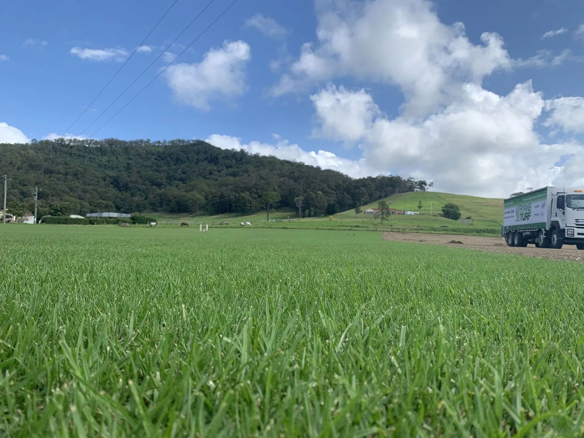 Green field with mountain backdrop, blue sky and truck.