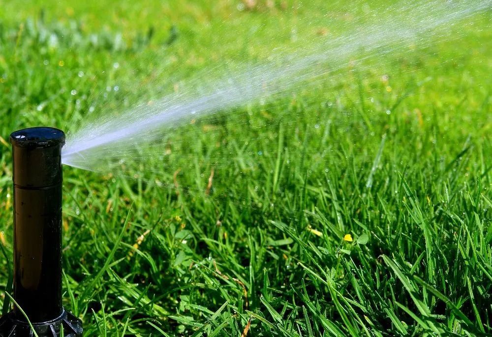 A sprinkler watering lush green grass on a sunny day. Water sprays out in a clear stream.