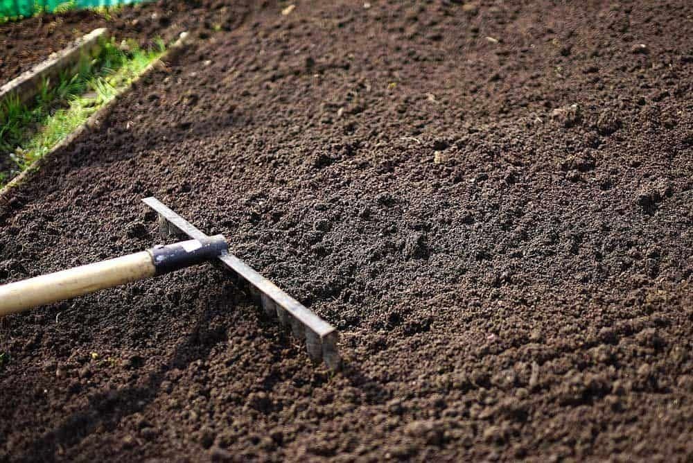 A garden bed with dark soil being raked, ready for planting. A wooden-handled rake lies on the surface.