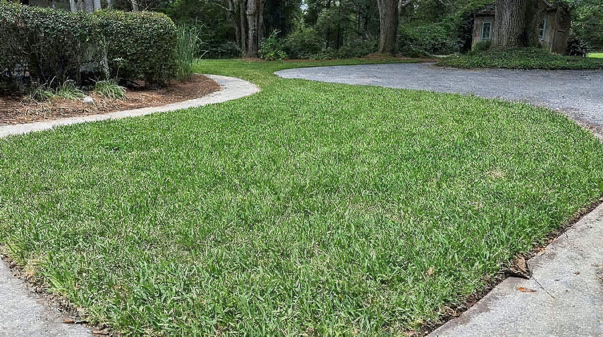 Rolls of sod lined up next to a grassy area, ready for installation.