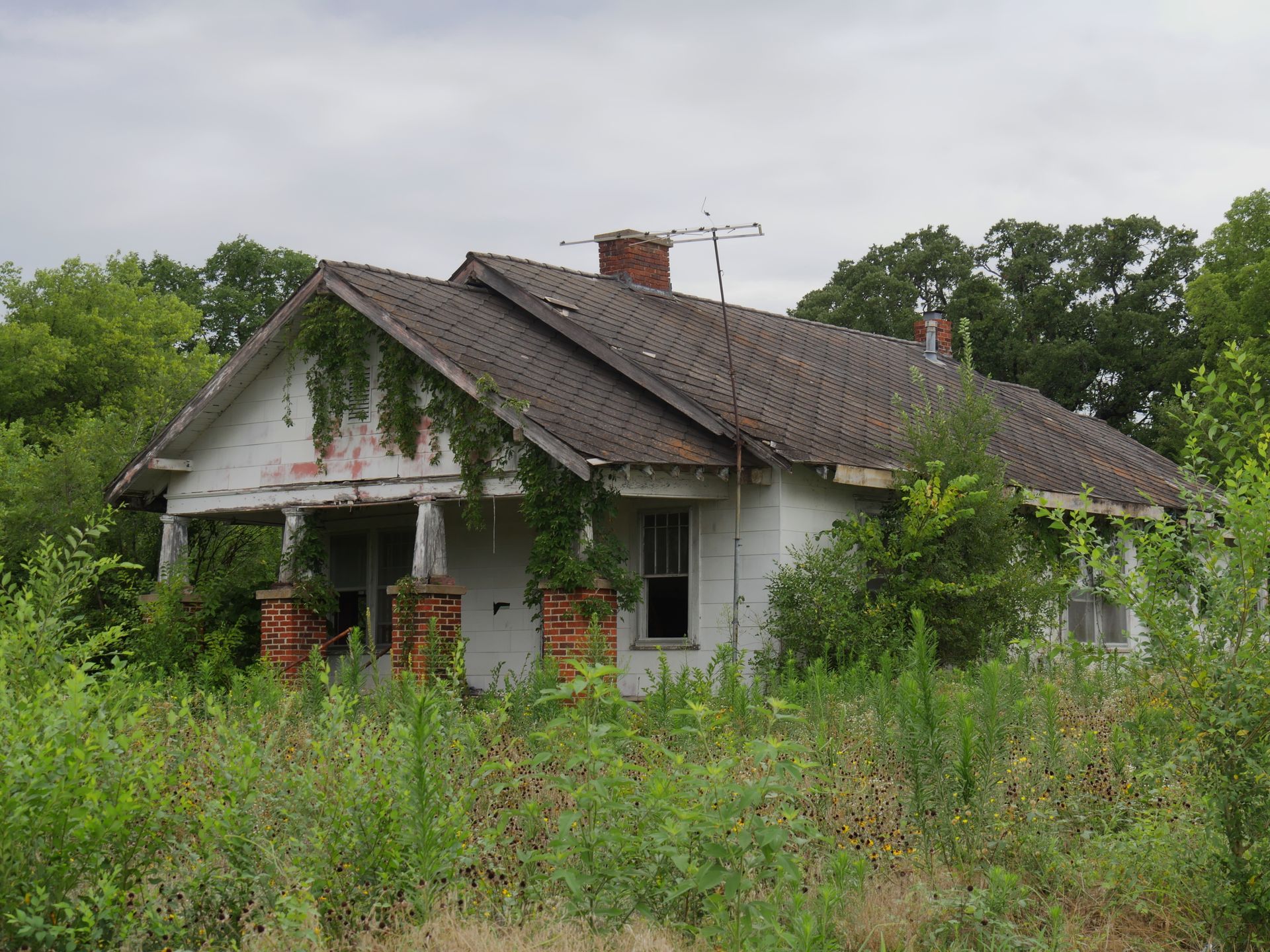 Abandoned white house with overgrown weeds and a damaged roof in a rural setting